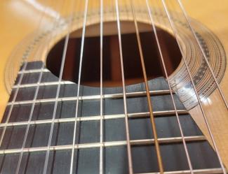 Guitare à dix cordes, détail